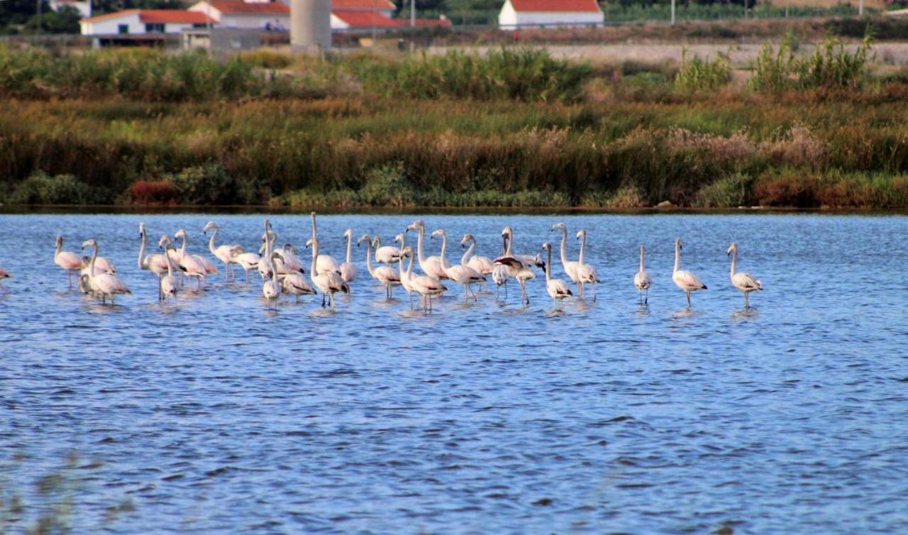 Stella Di Mare - Alojamento Local Figueira da Foz Luaran gambar